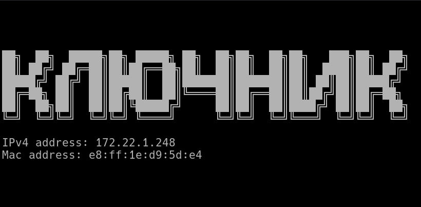 Отображение MAC и IP адреса