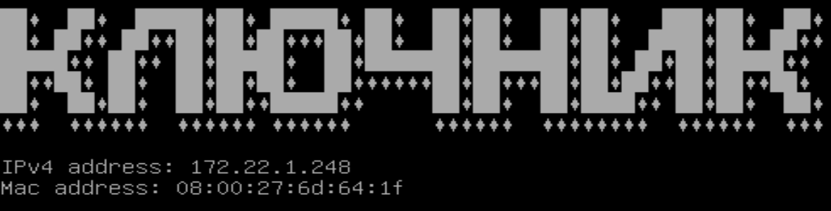 Вывод после обновления настроек статического IP-адреса